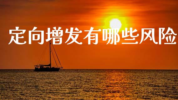 定向增发有哪些风险_https://wap.15771688.com_期货手续费一览表_第1张