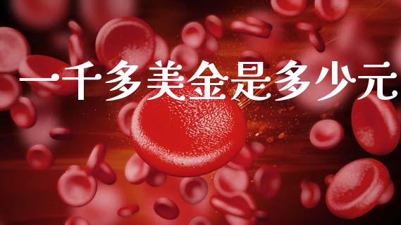一千多美金是多少元_https://wap.15771688.com_原油期货直播室_第1张
