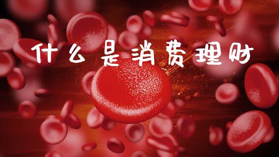 什么是消费理财_https://wap.15771688.com_国际期货_第1张