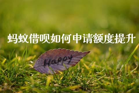 蚂蚁借呗如何申请额度提升_https://wap.15771688.com_道指期货_第1张