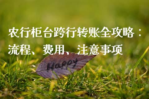 农行柜台跨行转账全攻略：流程、费用、注意事项_https://wap.15771688.com_期货手续费一览表_第1张