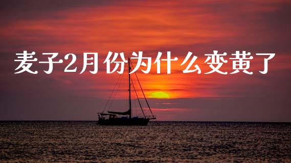 麦子2月份为什么变黄了_https://wap.15771688.com_原油期货直播室_第1张