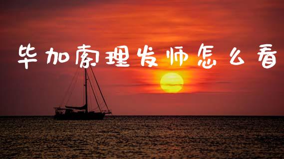 毕加索理发师怎么看_https://wap.15771688.com_道指期货_第1张