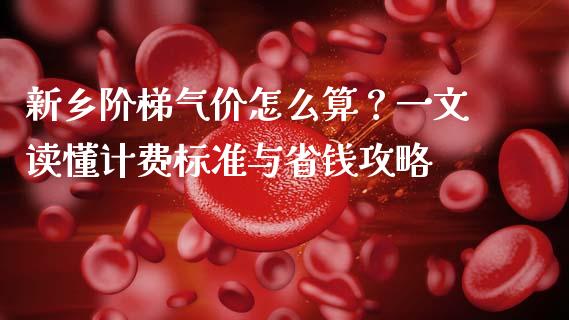 新乡阶梯气价怎么算？一文读懂计费标准与省钱攻略_https://wap.15771688.com_道指期货_第1张