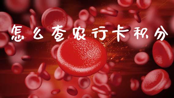 怎么查农行卡积分_https://wap.15771688.com_国际期货_第1张