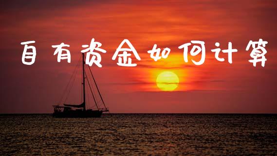 自有资金如何计算_https://wap.15771688.com_期货手续费一览表_第1张