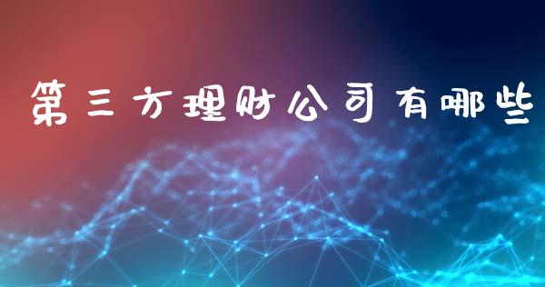 第三方理财公司有哪些_https://wap.15771688.com_国际期货_第1张