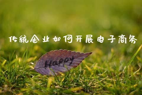 传统企业如何开展电子商务_https://wap.15771688.com_期货手续费一览表_第1张