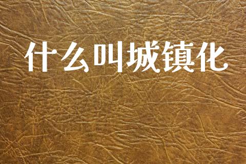 什么叫城镇化_https://wap.15771688.com_国际期货_第1张