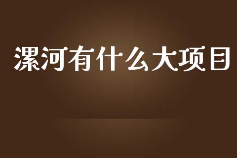 漯河有什么大项目_https://wap.15771688.com_原油期货直播室_第1张
