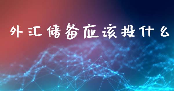 外汇储备应该投什么_https://wap.15771688.com_道指期货_第1张
