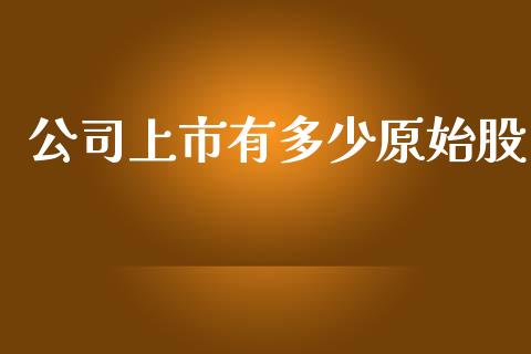 公司上市有多少原始股_https://wap.15771688.com_期货手续费一览表_第1张