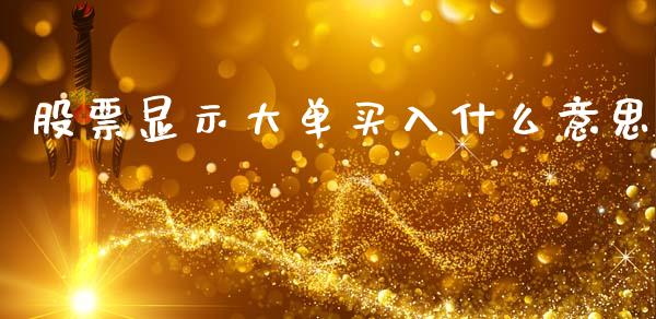 股票显示大单买入什么意思_https://wap.15771688.com_原油期货直播室_第1张