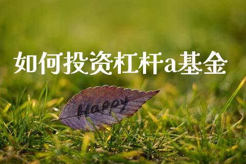如何投资杠杆a基金_https://wap.15771688.com_国际期货_第1张
