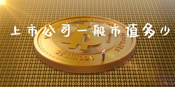 上市公司一般市值多少_https://wap.15771688.com_道指期货_第1张