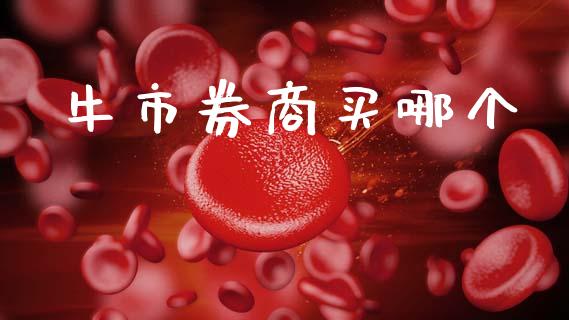 牛市券商买哪个_https://wap.15771688.com_道指期货_第1张