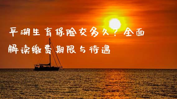 平湖生育保险交多久？全面解读缴费期限与待遇_https://wap.15771688.com_原油期货直播室_第1张