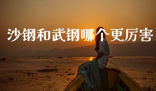 沙钢和武钢哪个更厉害_https://wap.15771688.com_原油期货直播室_第1张