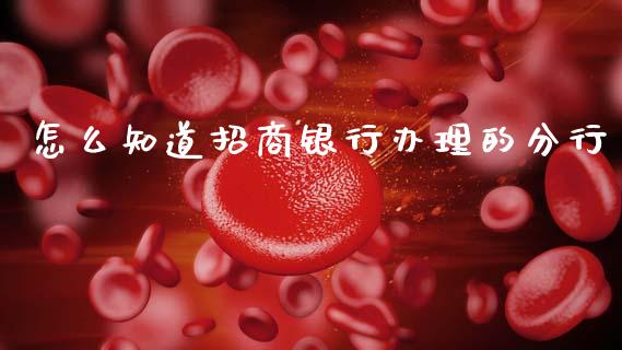 怎么知道招商银行办理的分行_https://wap.15771688.com_国际期货_第1张