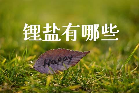 锂盐有哪些_https://wap.15771688.com_原油期货直播室_第1张