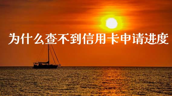 为什么查不到信用卡申请进度_https://wap.15771688.com_道指期货_第1张
