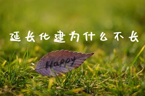 延长化建为什么不长_https://wap.15771688.com_道指期货_第1张