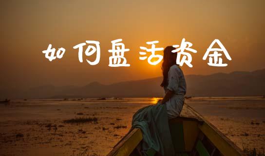 如何盘活资金_https://wap.15771688.com_期货手续费一览表_第1张