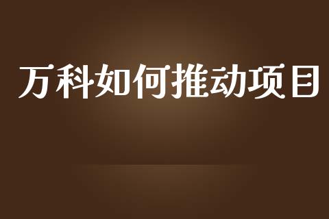 万科如何推动项目_https://wap.15771688.com_期货手续费一览表_第1张