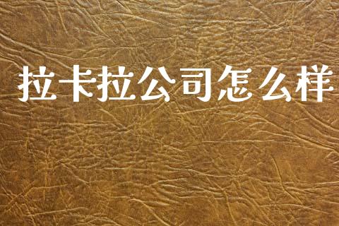 拉卡拉公司怎么样_https://wap.15771688.com_原油期货直播室_第1张