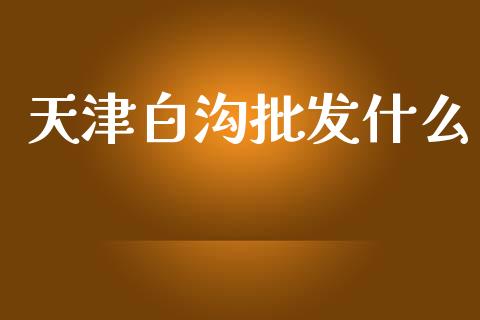 天津白沟批发什么_https://wap.15771688.com_原油期货直播室_第1张