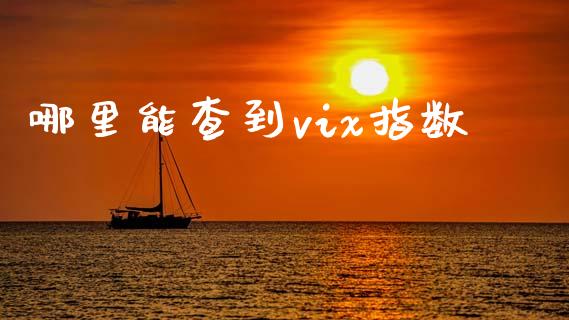 哪里能查到vix指数_https://wap.15771688.com_期货手续费一览表_第1张