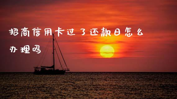 招商信用卡过了还款日怎么办理吗_https://wap.15771688.com_国际期货_第1张