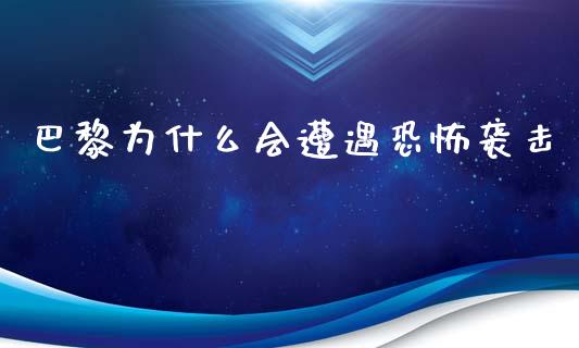 巴黎为什么会遭遇恐怖袭击_https://wap.15771688.com_道指期货_第1张