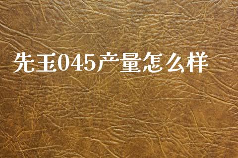 先玉045产量怎么样_https://wap.15771688.com_期货手续费一览表_第1张