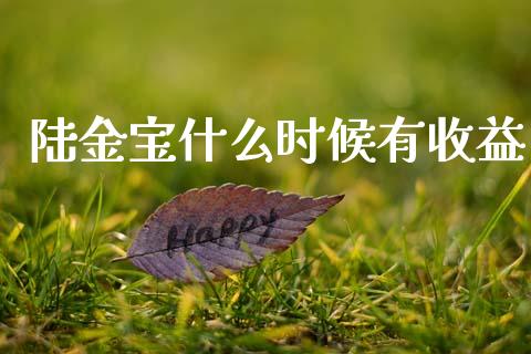 陆金宝什么时候有收益_https://wap.15771688.com_期货手续费一览表_第1张