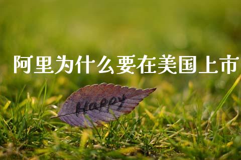 阿里为什么要在美国上市_https://wap.15771688.com_国际期货_第1张