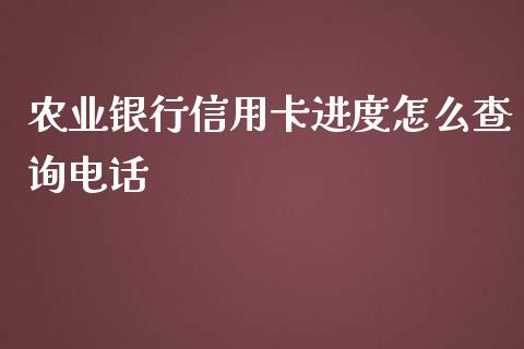 农业银行信用卡进度怎么查询电话_https://wap.15771688.com_原油期货直播室_第1张