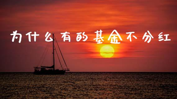 为什么有的基金不分红_https://wap.15771688.com_道指期货_第1张