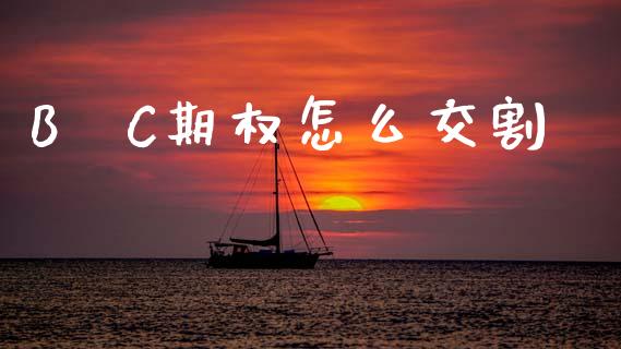 B丅C期权怎么交割_https://wap.15771688.com_原油期货直播室_第1张