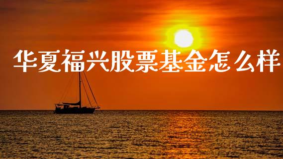 华夏福兴股票基金怎么样_https://wap.15771688.com_道指期货_第1张
