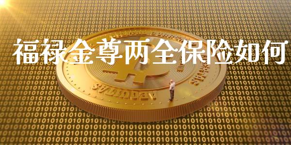 福禄金尊两全保险如何_https://wap.15771688.com_道指期货_第1张