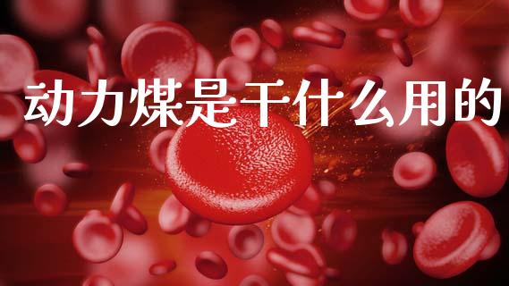 动力煤是干什么用的_https://wap.15771688.com_期货手续费一览表_第1张