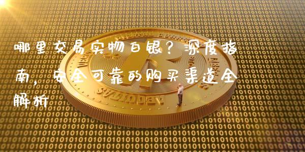 哪里交易实物白银？深度指南，安全可靠的购买渠道全解析_https://wap.15771688.com_期货手续费一览表_第1张