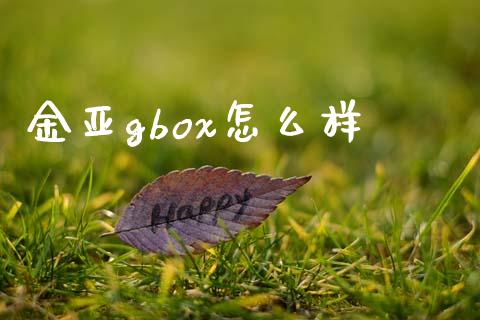金亚gbox怎么样_https://wap.15771688.com_道指期货_第1张