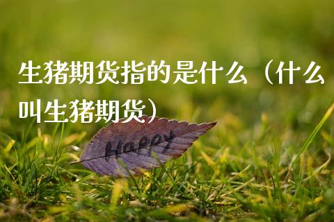 生猪期货指的是什么（什么叫生猪期货）_https://wap.15771688.com_国际期货_第1张