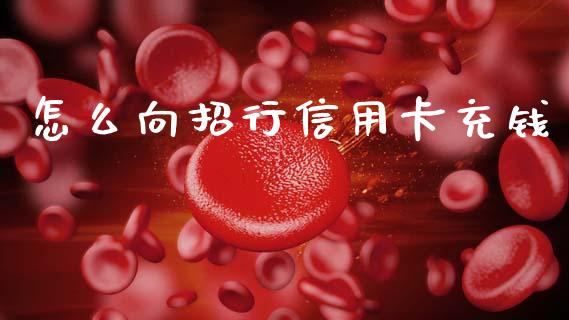 怎么向招行信用卡充钱_https://wap.15771688.com_国际期货_第1张