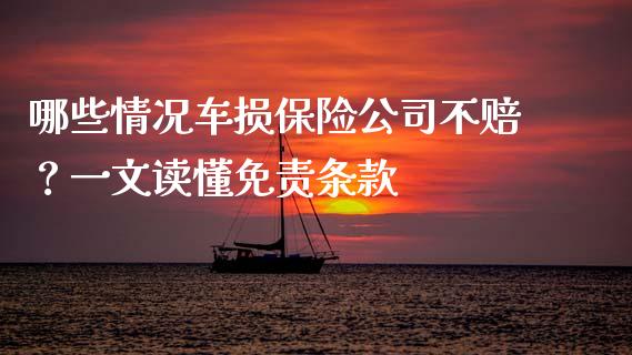 哪些情况车损保险公司不赔？一文读懂免责条款_https://wap.15771688.com_道指期货_第1张