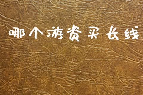 哪个游资买长线_https://wap.15771688.com_道指期货_第1张