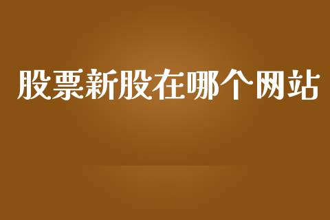 股票新股在哪个网站_https://wap.15771688.com_期货手续费一览表_第1张