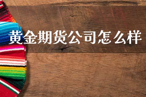黄金期货公司怎么样_https://wap.15771688.com_国际期货_第1张